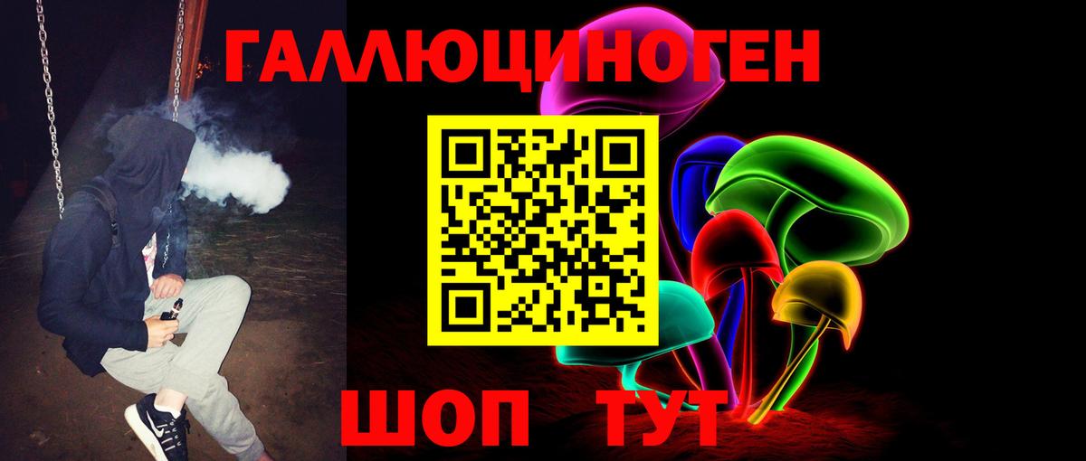 Псилоцибиновые грибы Cubensis  Вход с VPN  Каменка 